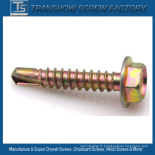 DIN7504-K Vis de perçage auto-taraudée à tête hexagonale